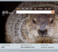 Ӧcn.bing.com