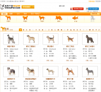 йƷinfo.chinapet.com