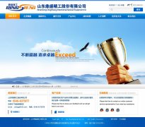 ʢwww.dingsheng-group.com