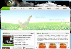 ʥִsundaily.cn