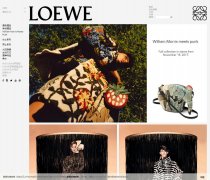 LOEWEwww.loewe.com