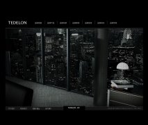 ̫www.tedelon.cn