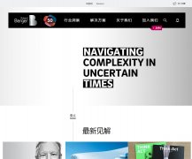 .www.rolandberger.com.cn