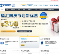 fxcm-chinese.com