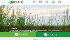 SEEsee.org.cn