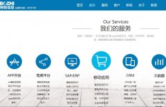 Ϣwww.biz-united.com.cn