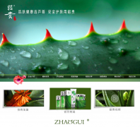 ѹƼι˾zhaogui.com