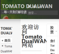 Tomato DualWAN dualwan.cn