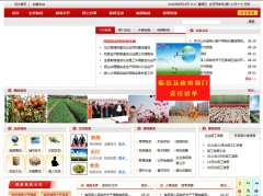 www.linyixian.gov.cn